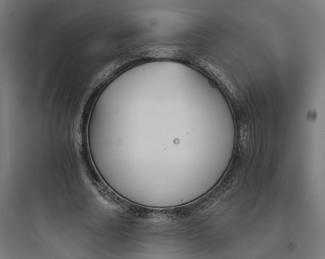 X0000093750682200711061048