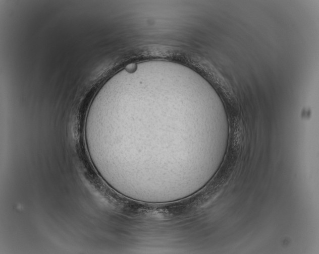 X0000093750683200711061048