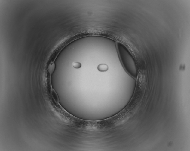 X0000093750684200711061048