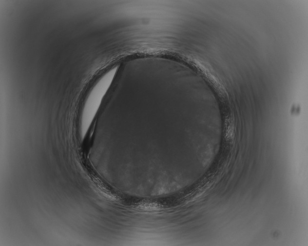 X0000093750685200711061048