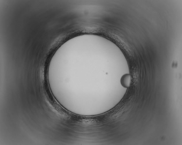 X0000093750686200711061048
