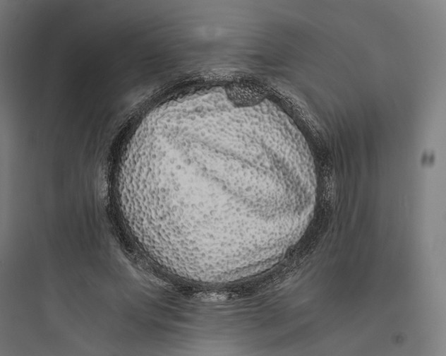 X0000093750687200711061048
