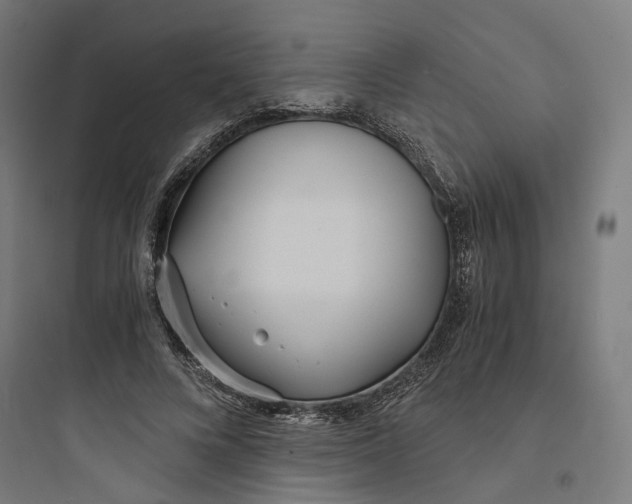 X0000093750688200711061048