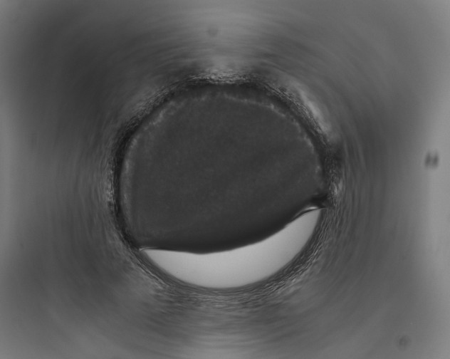 X0000093750689200711061048