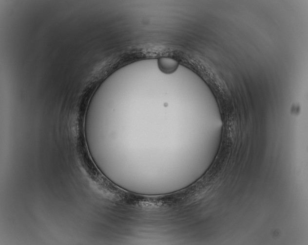 X0000093750690200711061048