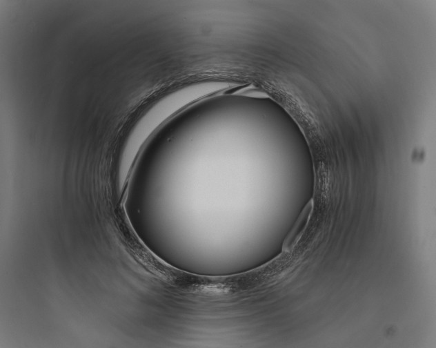 X0000093750692200711061048