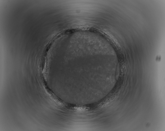 X0000093750693200711061048