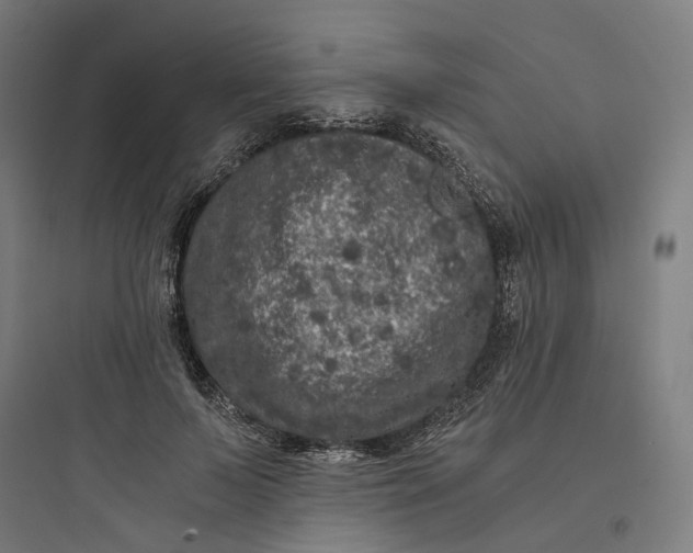 X0000093750695200711061048