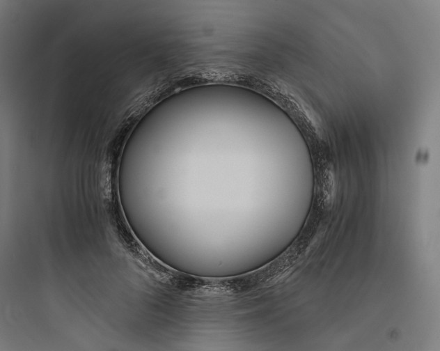 X0000093750696200711061048