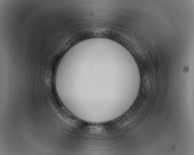 X0000093750698200711061048