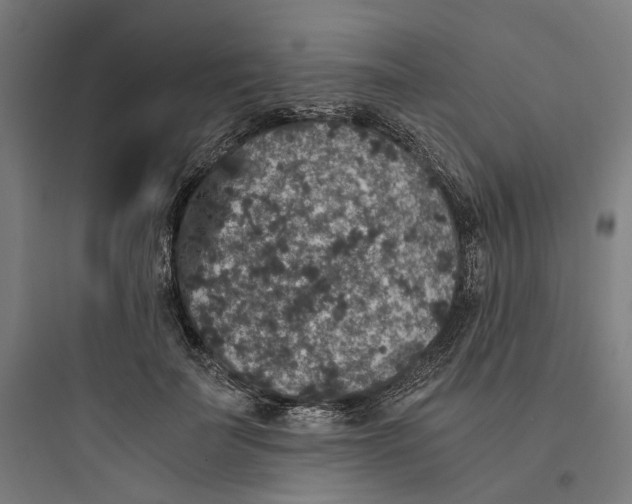 X0000093750699200711061048