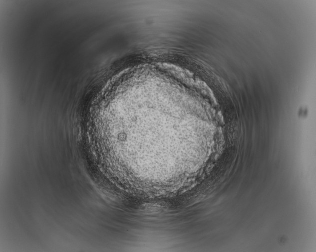 X0000093750703200711061048