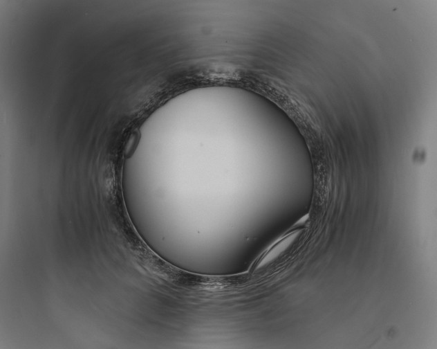 X0000093750704200711061048