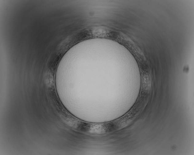 X0000093750705200711061048