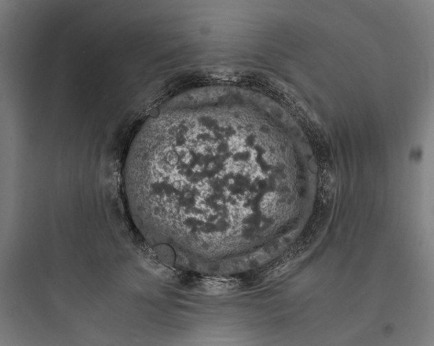 X0000093750707200711061048