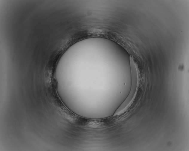 X0000093750708200711061048