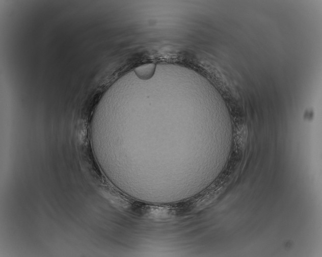X0000093750709200711061048