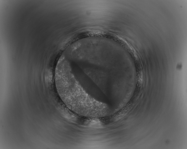 X0000093750715200711061048
