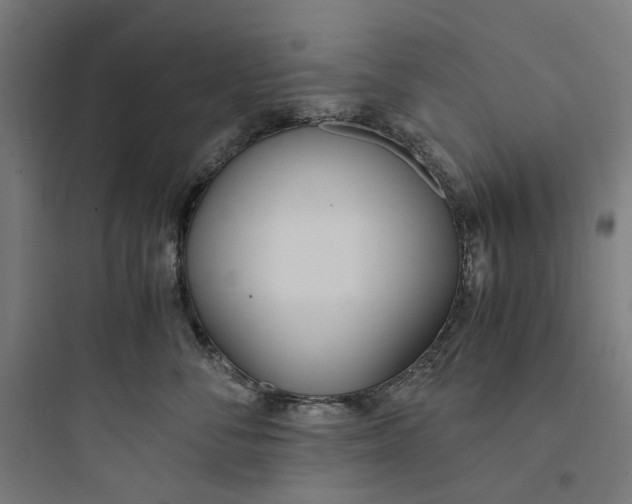 X0000093750716200711061048