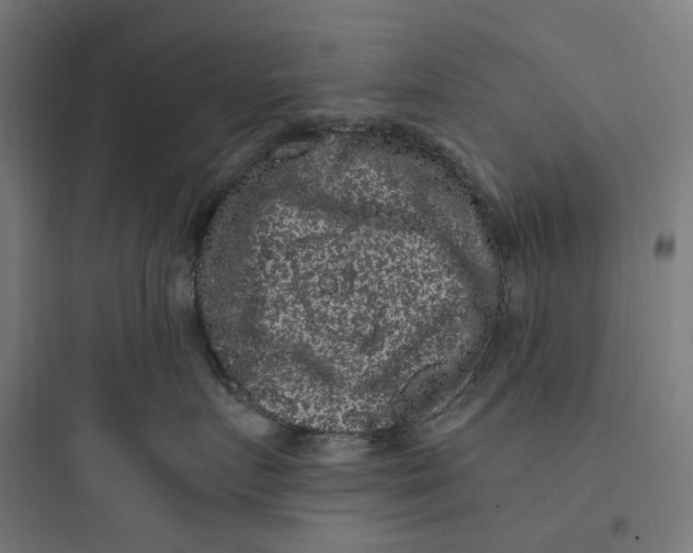 X0000093750719200711061048
