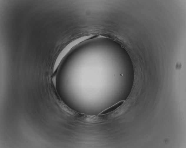 X0000093750720200711061048