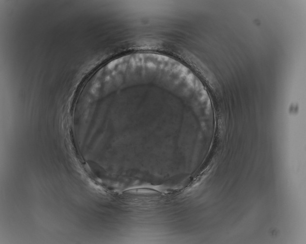 X0000093750721200711061047