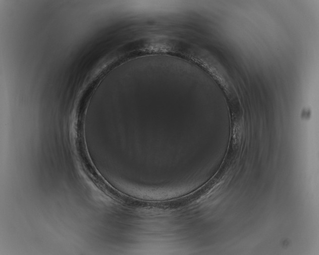 X0000093750722200711061047