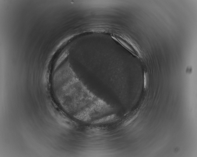X0000093750723200711061047