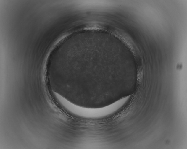 X0000093750724200711061047