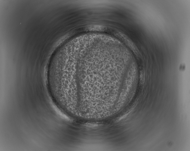 X0000093750725200711061047