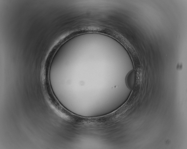 X0000093750726200711061047