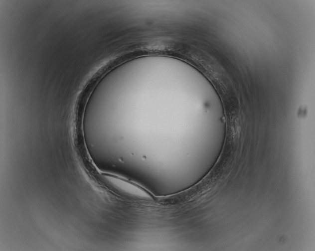 X0000093750728200711061047