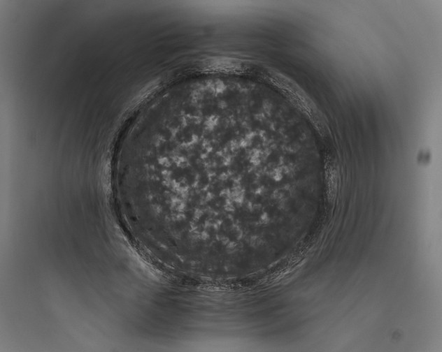 X0000093750729200711061047