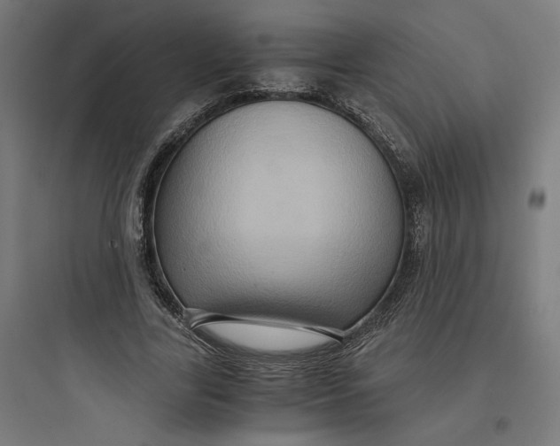 X0000093750731200711061047