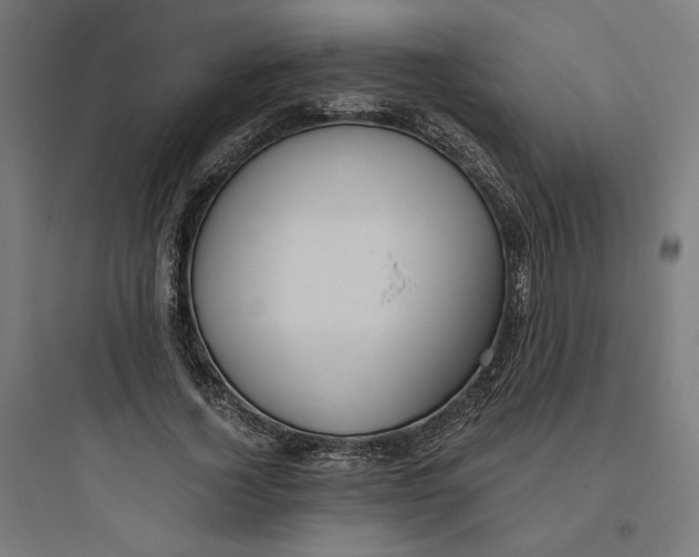 X0000093750732200711061047