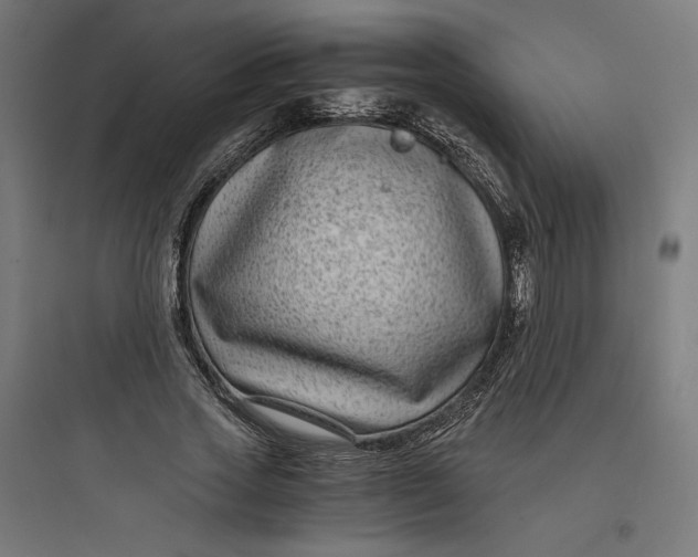 X0000093750733200711061047