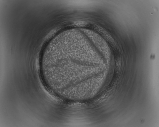 X0000093750734200711061047