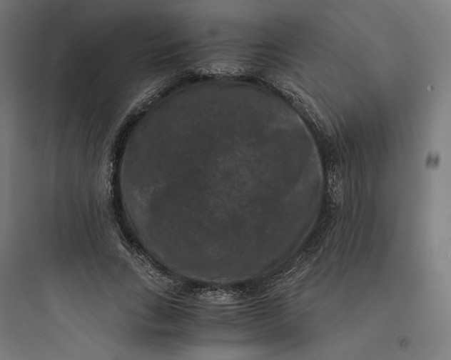 X0000093750735200711061047