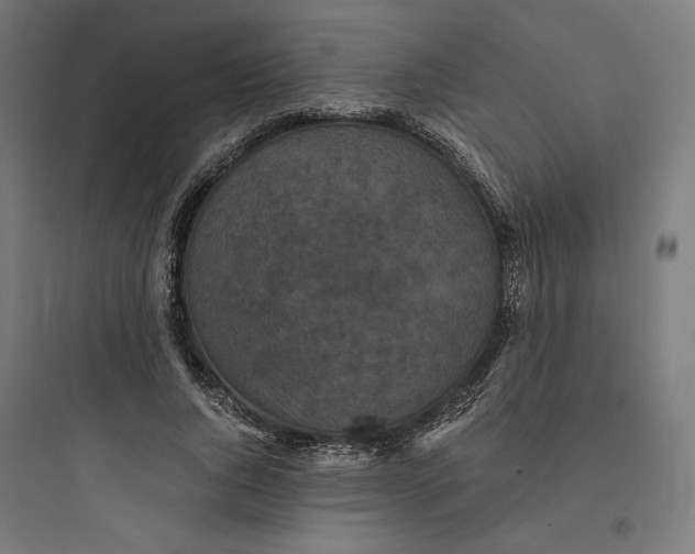 X0000093750736200711061047