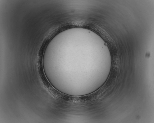 X0000093750738200711061048
