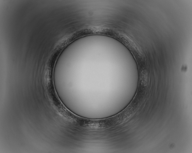 X0000093750740200711061048