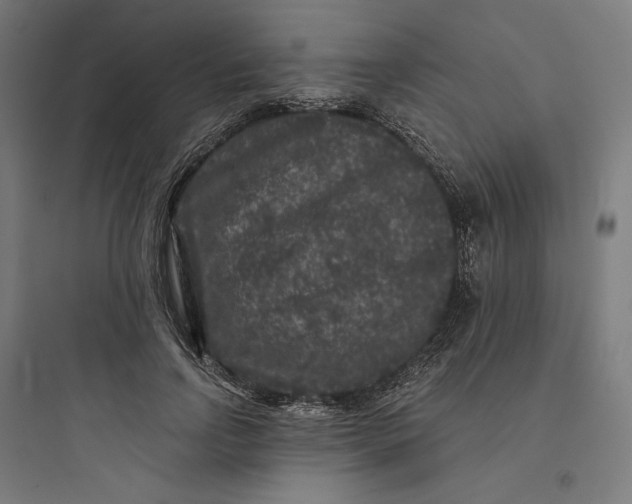 X0000093750742200711061048