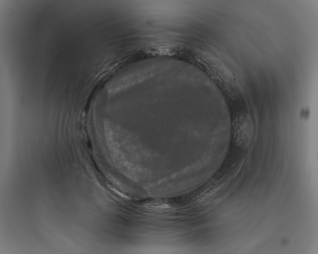 X0000093750747200711061048