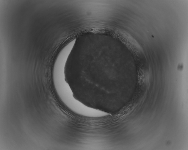 X0000093750748200711061048