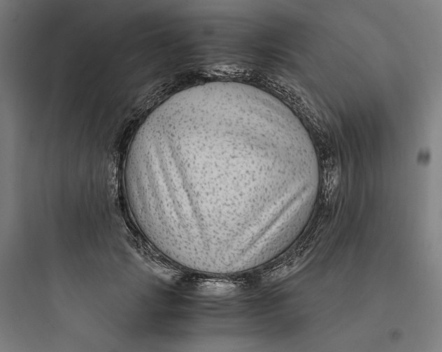 X0000093750749200711061048