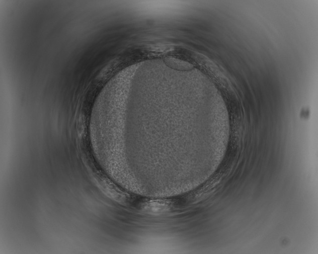 X0000093750758200711061048