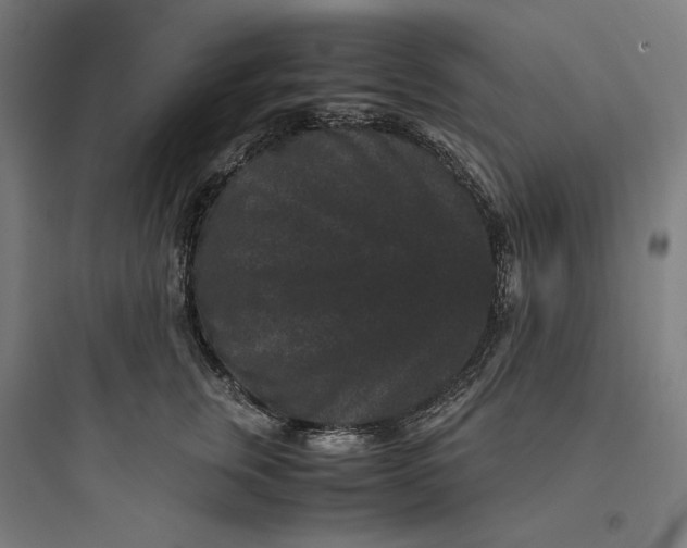 X0000093750759200711061048