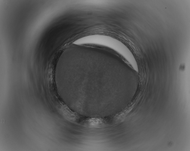 X0000093750762200711061048
