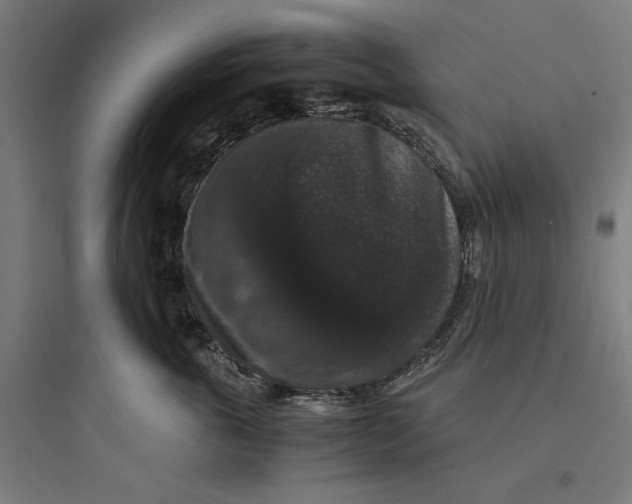 X0000093750763200711061048