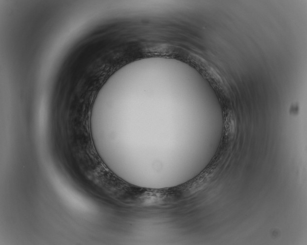 X0000093750764200711061048